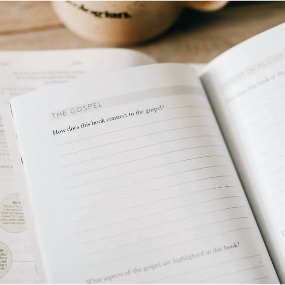 NEW THE DAILY GRACE CO. book by book bible study journal in multi - Picture 4 of 5